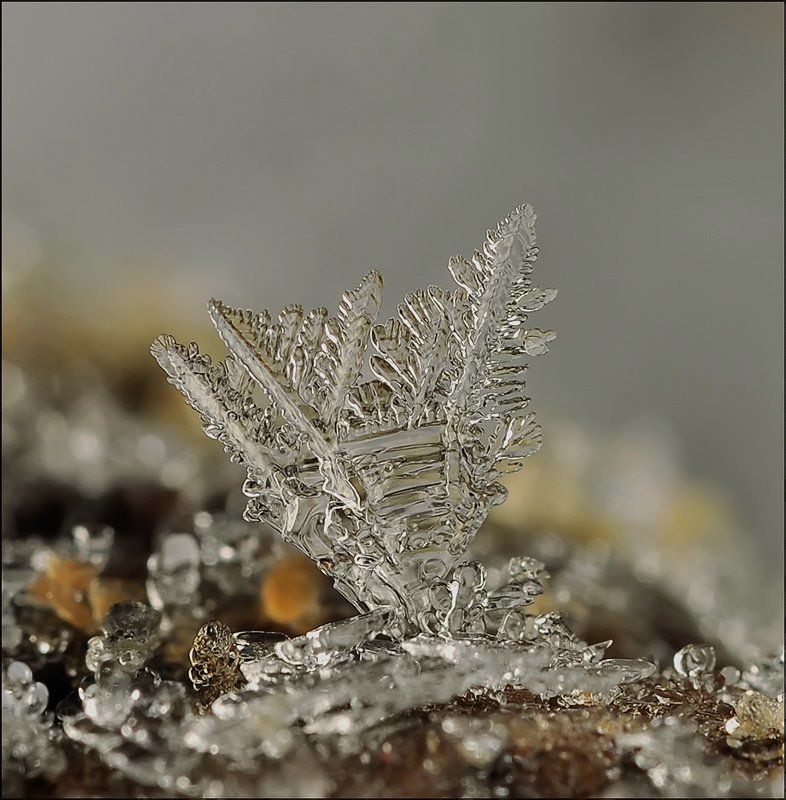 Слёзы моря...photo preview