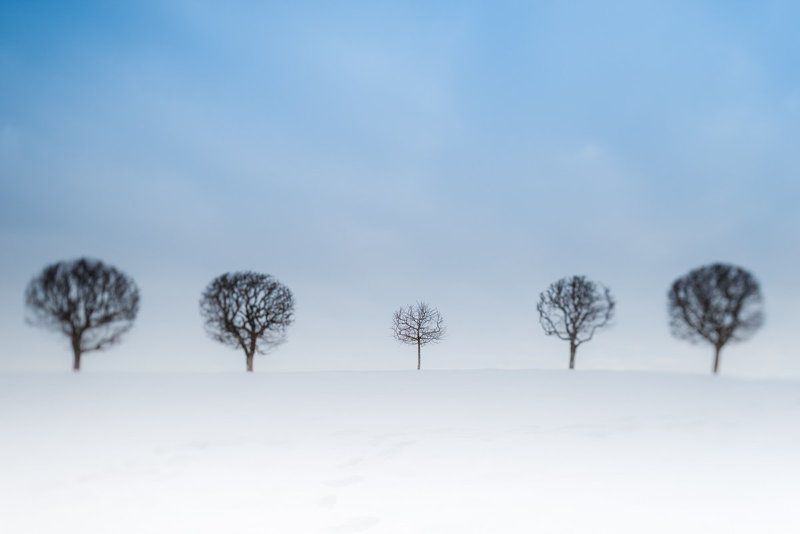 танцы у Марлиphoto preview