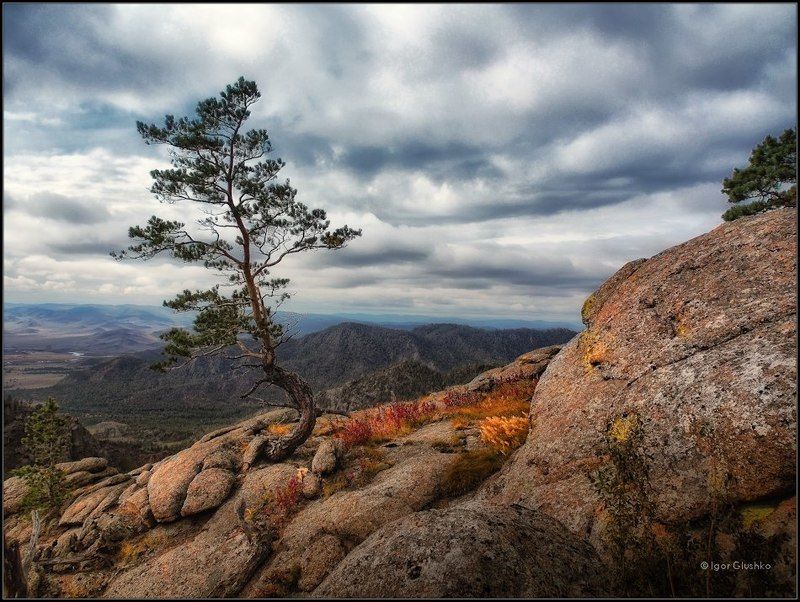 На своем местеphoto preview