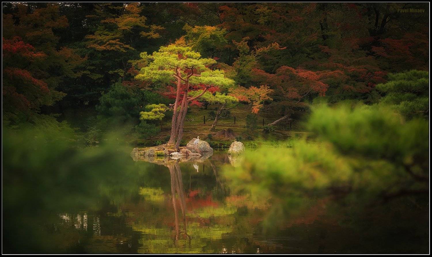 , Минаев Павел