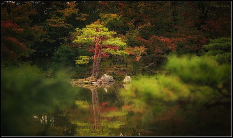В японском садуphoto preview