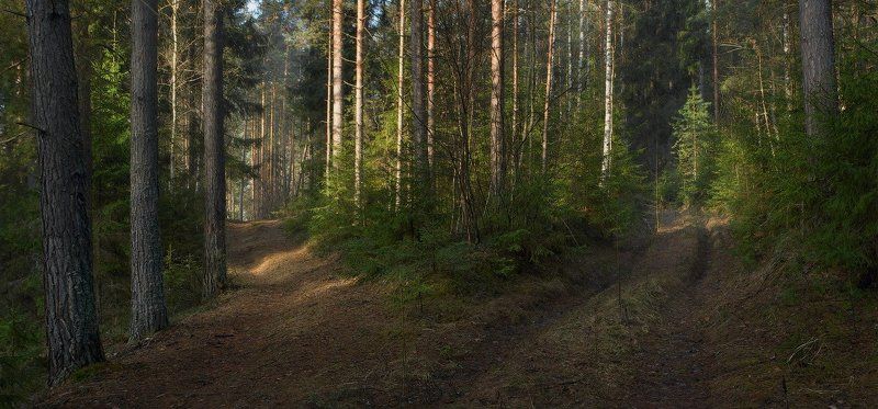 Утроphoto preview