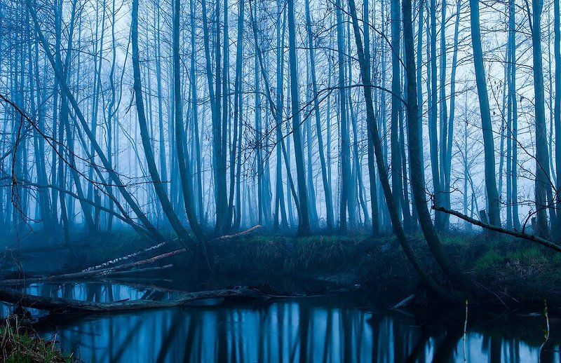 Синий туманphoto preview