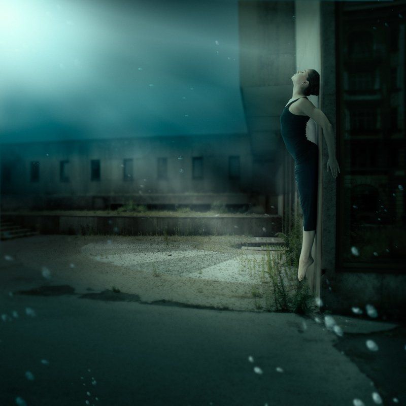 ENTRÉE X.photo preview