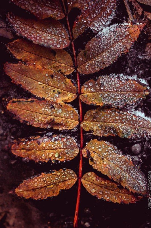 приморозило..photo preview