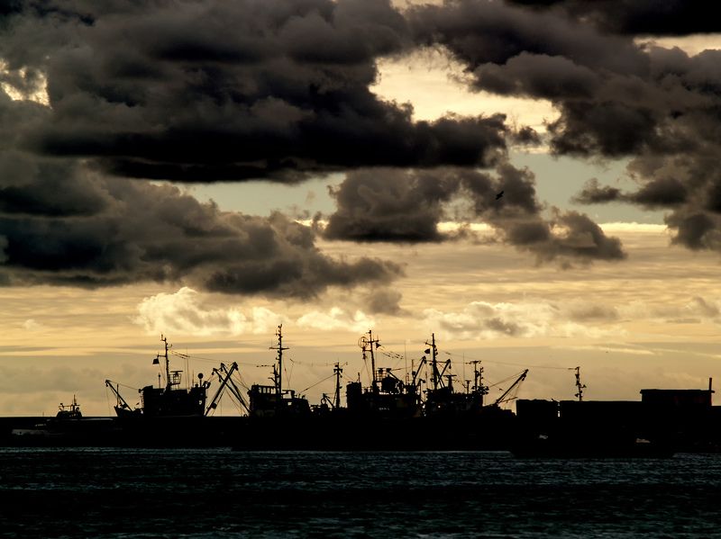 На приколеphoto preview