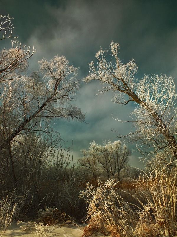 Там на неведомых дорожках...photo preview