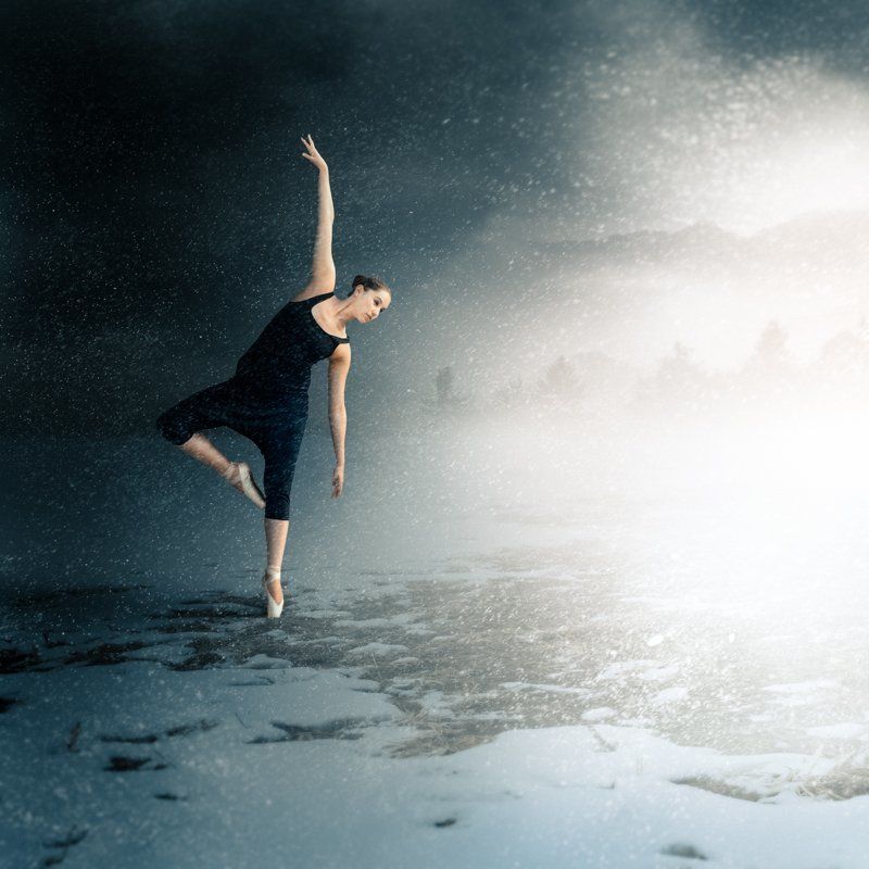 ENTRÉE XII.photo preview