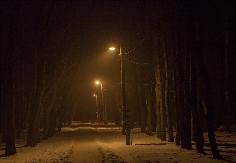 Дорожка, Зима, Ночь, Тропинка, Туман, Фонари дорожкаphoto preview