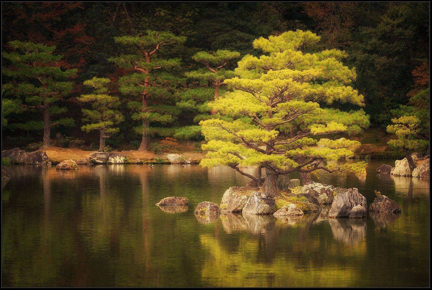 , Минаев Павел