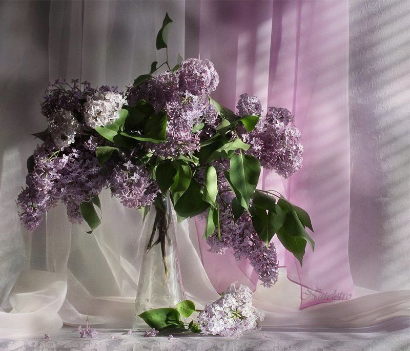 Сиреневое утроphoto preview