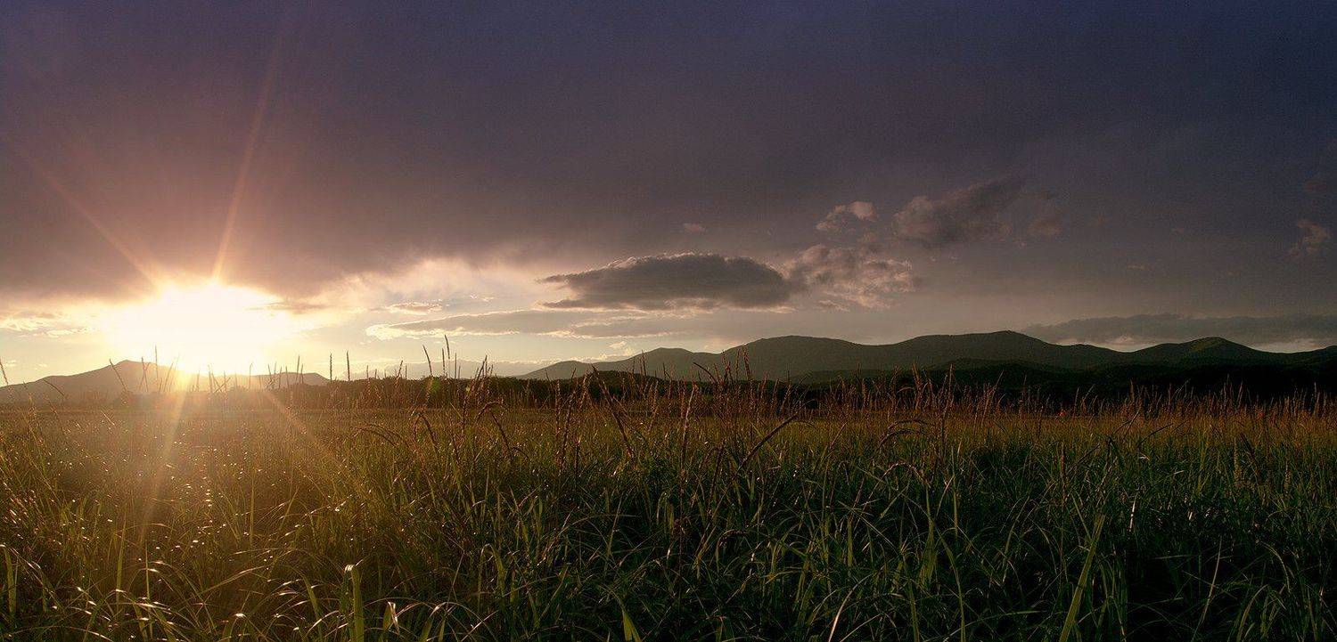 В заказнике. Автор: rizhickh , rizhickh