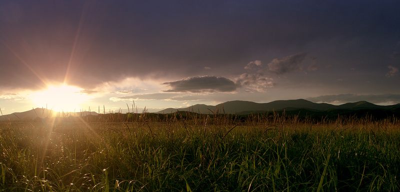 В заказникеphoto preview