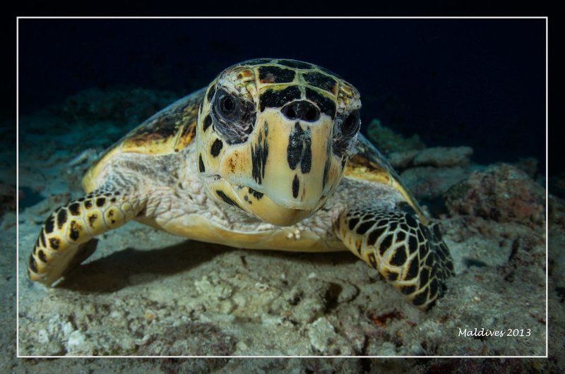 Надоели уже ... фото превью