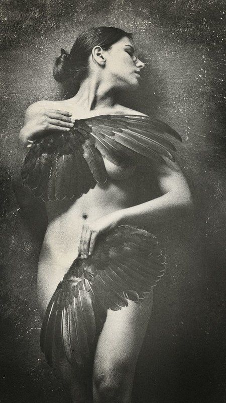 no namephoto preview