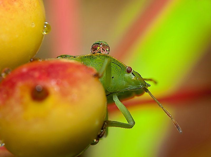 Водовоз...photo preview