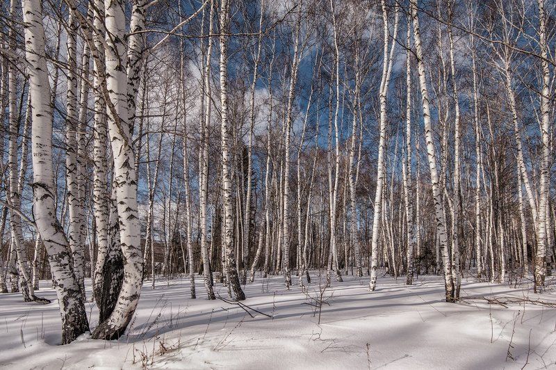 Русьphoto preview