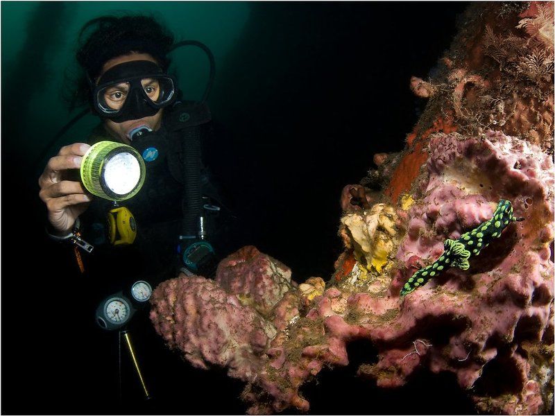 Широкий уголphoto preview