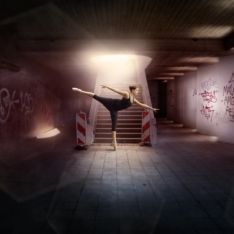 ENTRÉE VI.photo preview