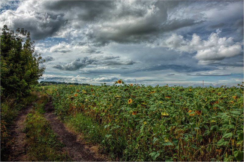 Крепитесь, люди, скоро лето!photo preview