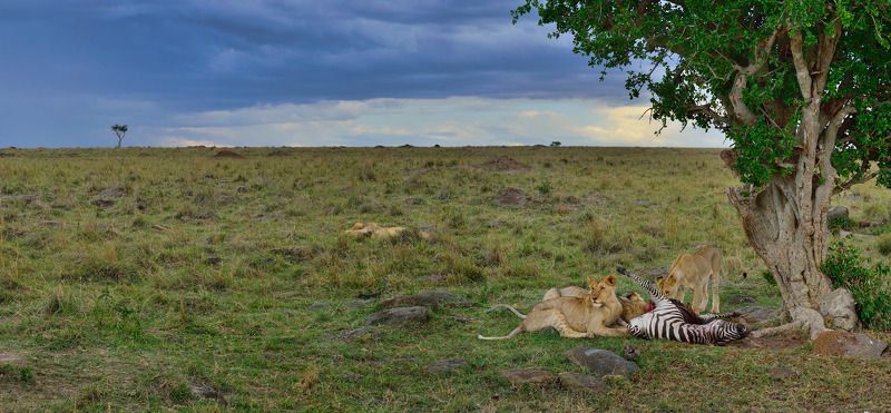 перед закатомphoto preview