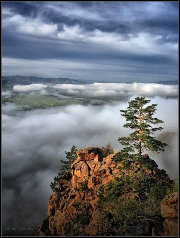 Ориентирphoto preview