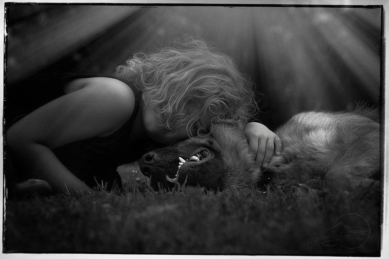 Пусть тают обиды, как лёдphoto preview