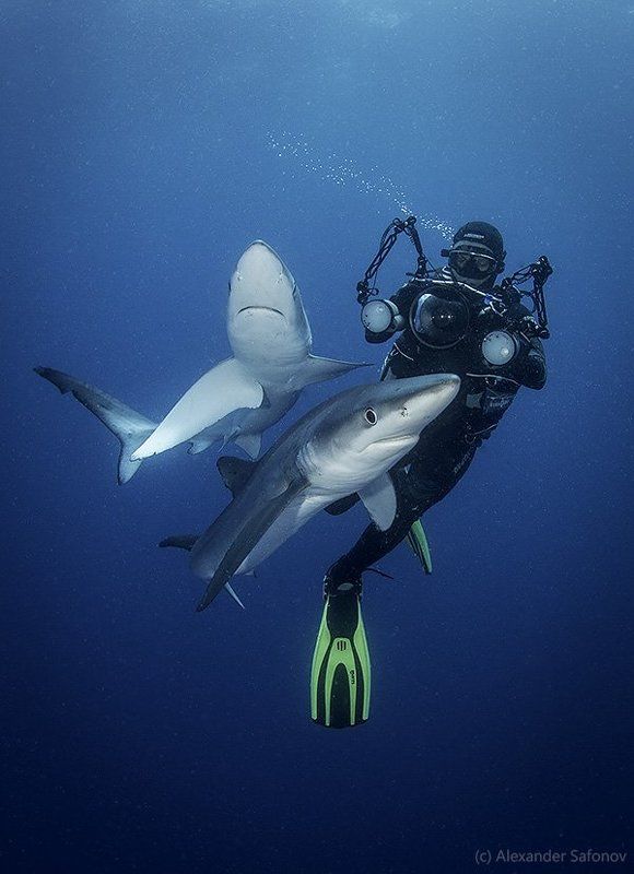 Фотосессияphoto preview