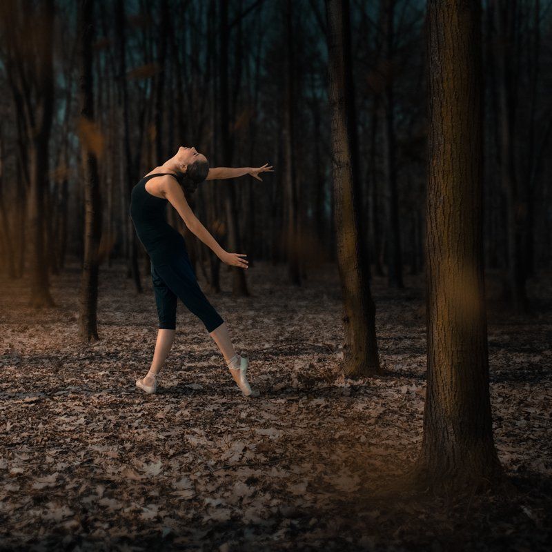 ENTRÉE IV.photo preview