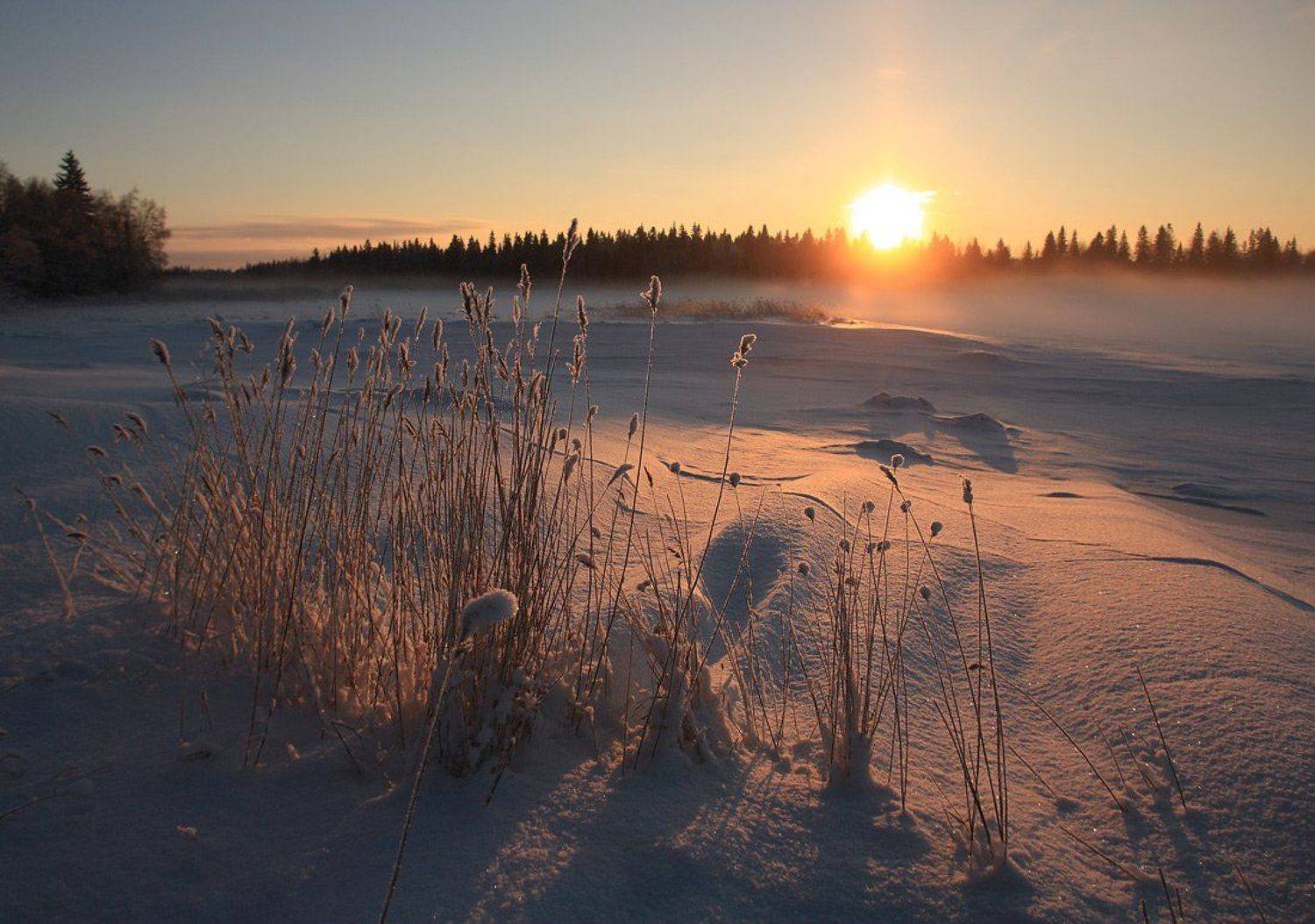 ***. Автор: Андрей Котов , Андрей Котов