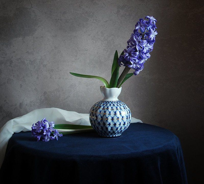 гиацинты Февральphoto preview