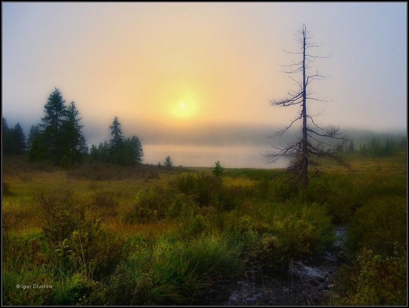 Заповедник тумановphoto preview