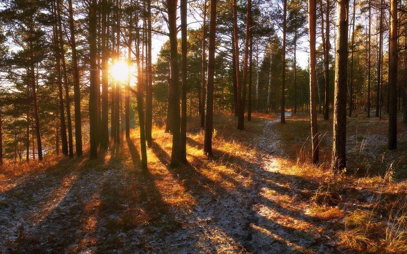 Вот так начиналась наша зима.photo preview