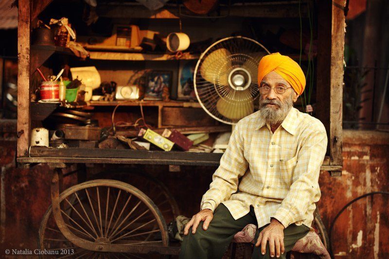 В желтомphoto preview