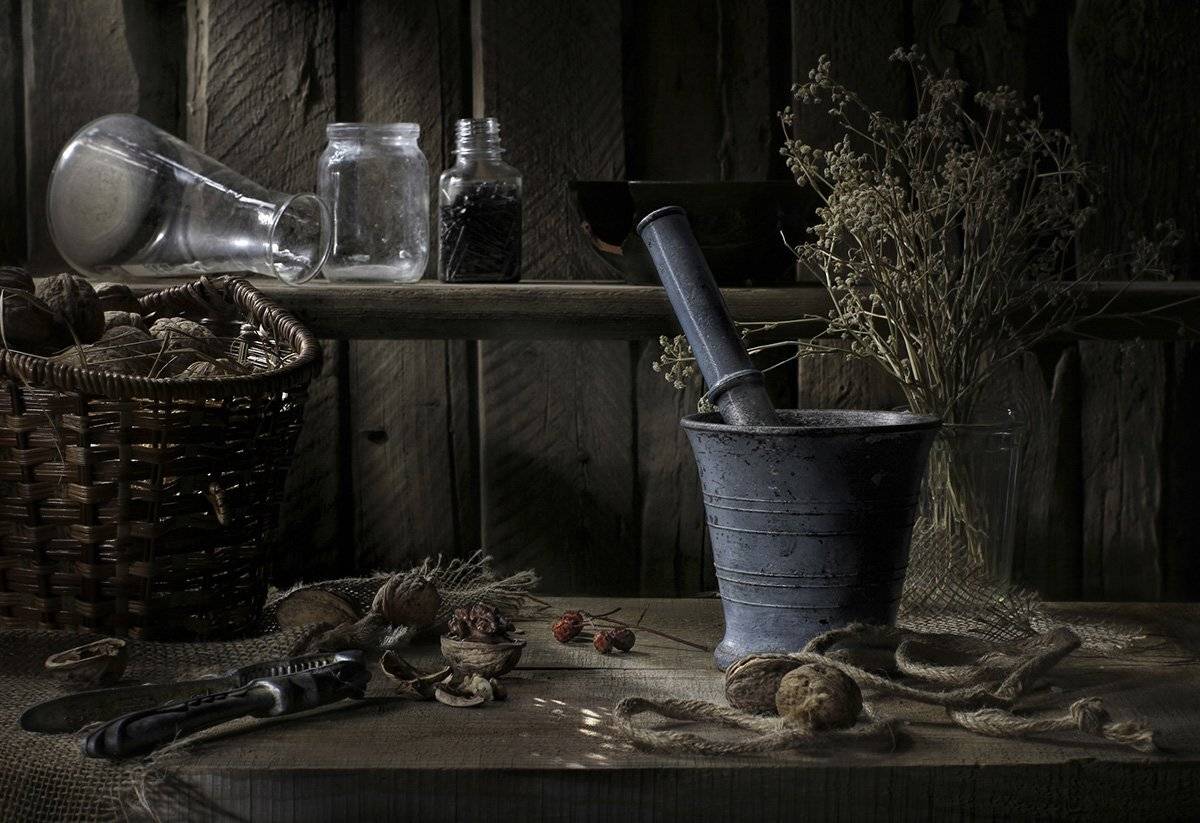 , Светлана Павловская