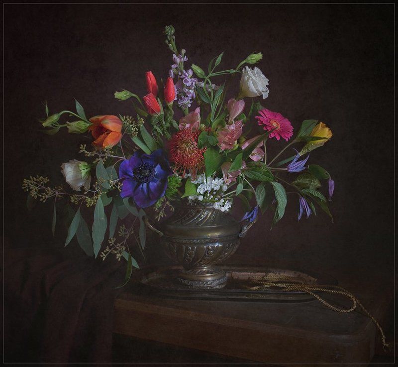 Разноцветие...photo preview