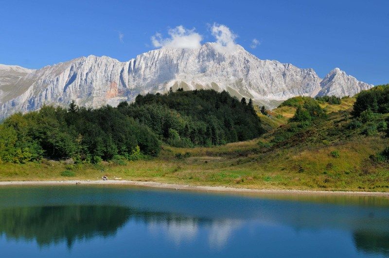 СЕДОВЛАСЫЙphoto preview