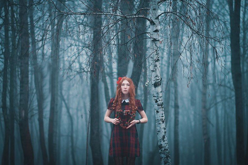 туман, рождество, портрет, лес, сказка The Christmas Misteryphoto preview