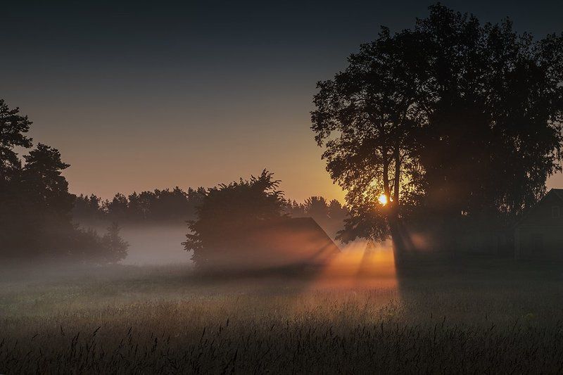 Утромphoto preview