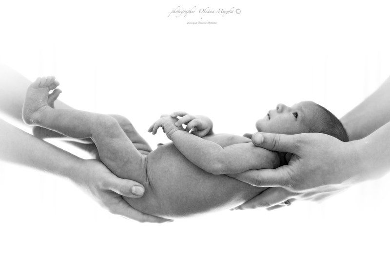 Родительская поддержкаphoto preview