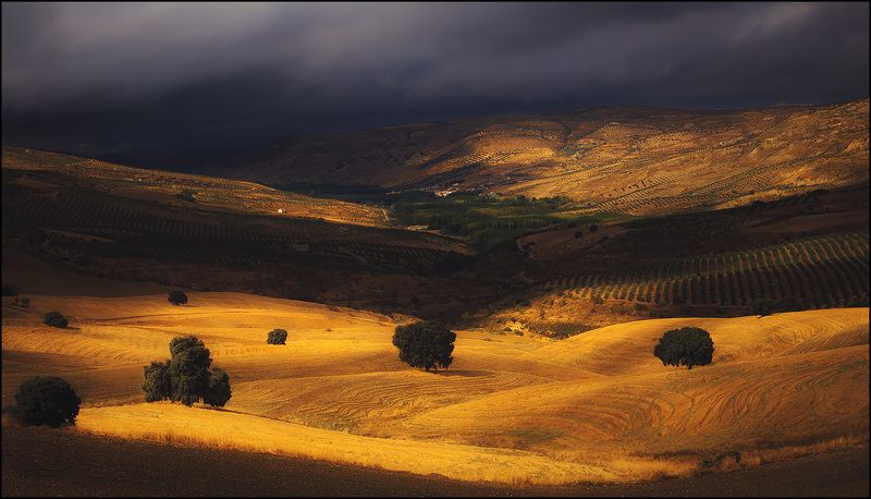 Перед грозойphoto preview