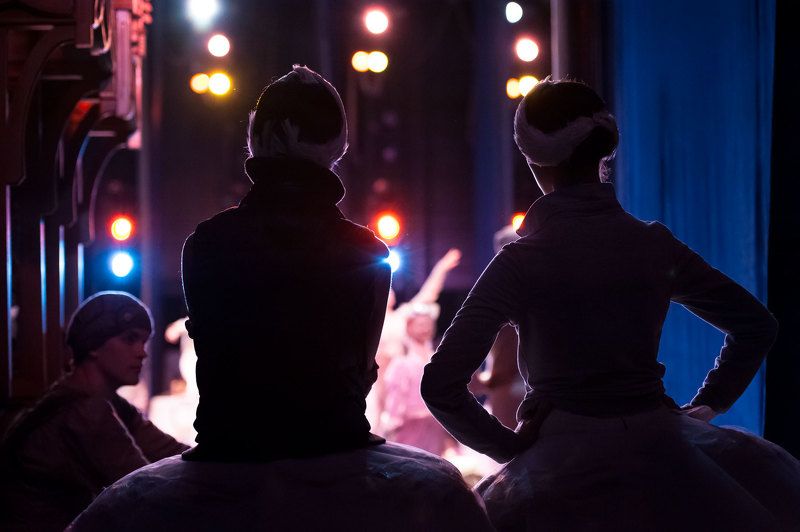 swan lakephoto preview