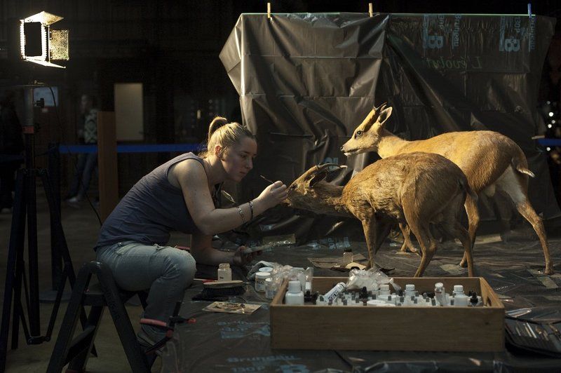 taxidermistphoto preview