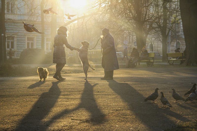 Здравствуй!photo preview