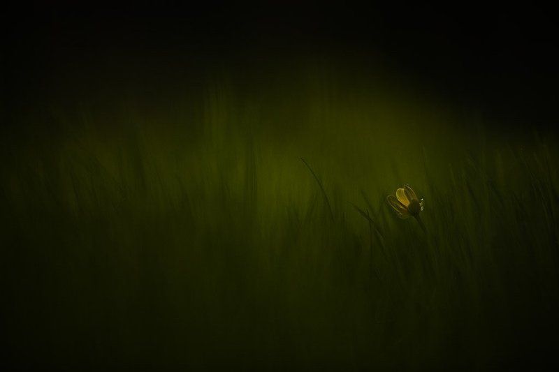 чистяк, фонарик о вечерних фонарикахphoto preview