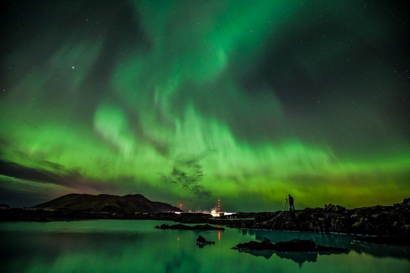 Ночной охотникphoto preview