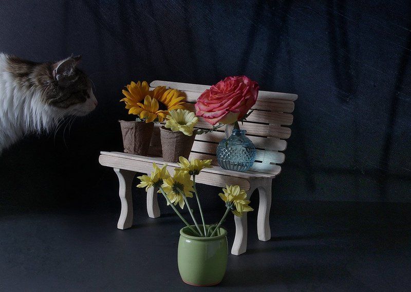 натюрморт Про одну лавочку. История четвертая.photo preview