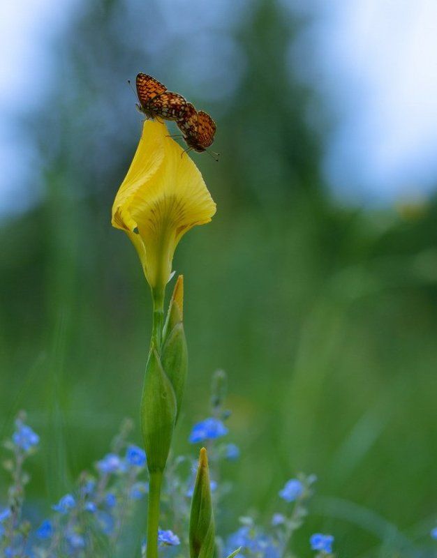 Воздушные очертания (часть 2)photo preview