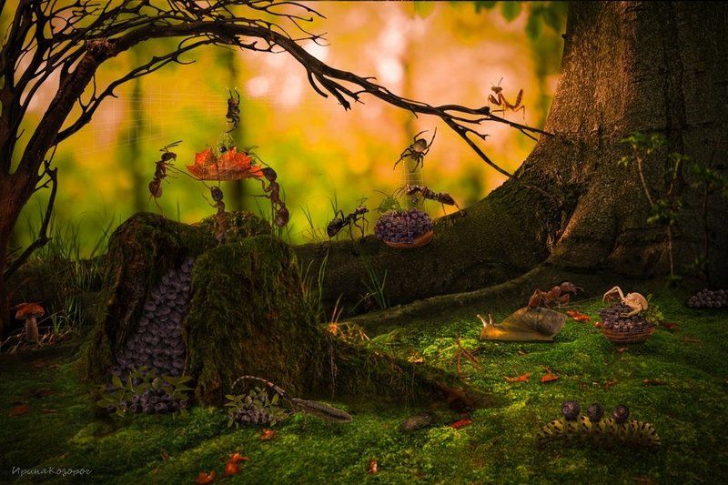 Сбор урожаяphoto preview