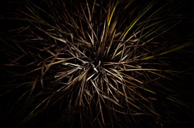 о травеphoto preview